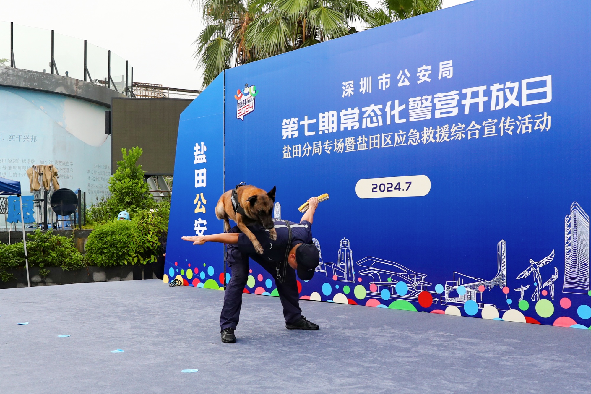 实时比分-多伦多猛龙训练开放日；赛前强势反弹引欢呼；意大利杯在即；团队化学反应显著的简单介绍